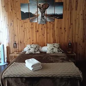 https://coffeebed-tenerife-dreams.in-canary-islands.com